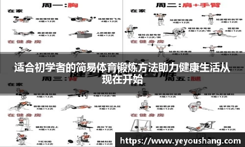 适合初学者的简易体育锻炼方法助力健康生活从现在开始