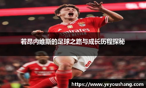 若昂内维斯的足球之路与成长历程探秘
